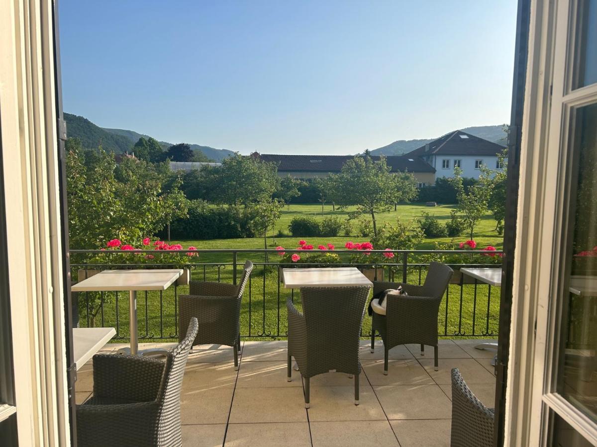 Donauhof - Hotel Garni Weissenkirchen in der Wachau Εξωτερικό φωτογραφία