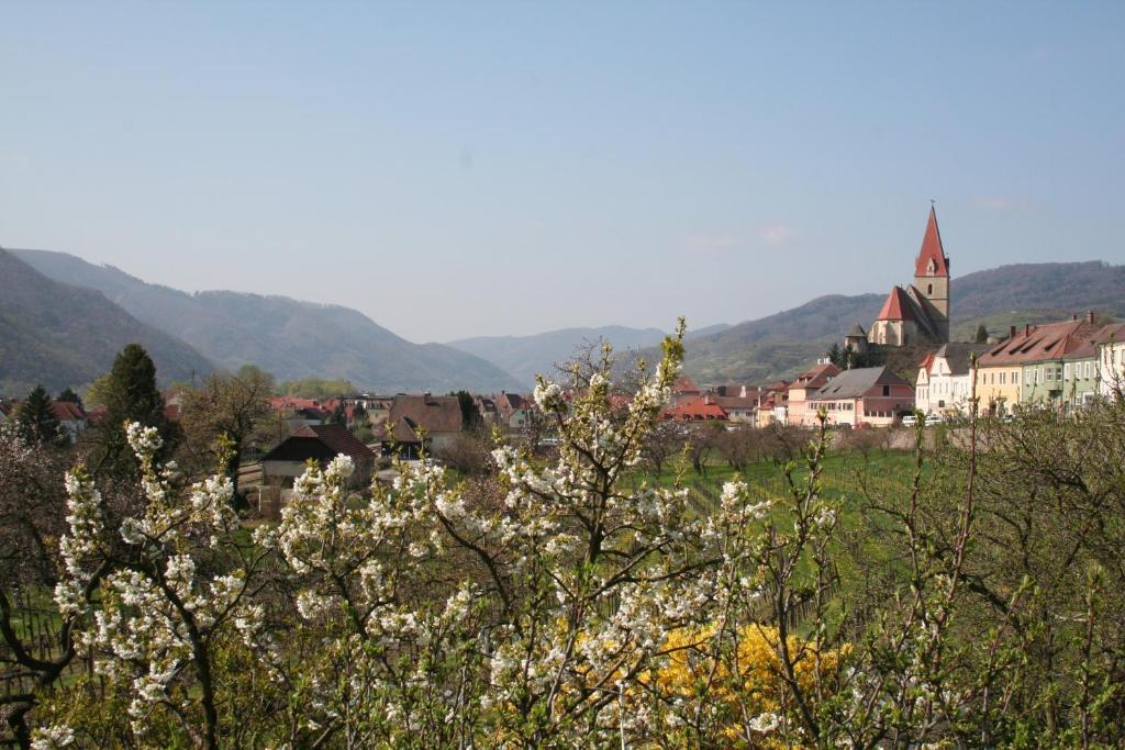 Donauhof - Hotel Garni Weissenkirchen in der Wachau Εξωτερικό φωτογραφία